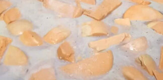 Polícia fecha fábrica clandestina e idoso é preso por vender queijo estragado em Ouro Verde