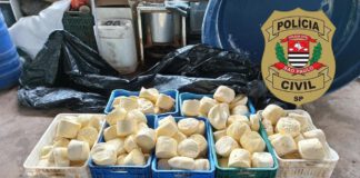 Fabrica clandestina de queijos é fechada pela Polícia Civil em Dracena