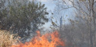 Incêndios na zona rural causam névoa de fumaça em Presidente Prudente