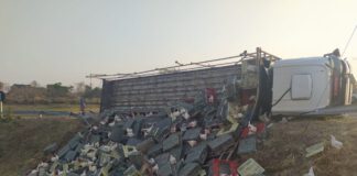 Caminhão com 2 mil frangos tomba em rotatória de Presidente Venceslau