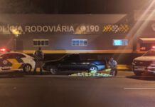 Polícia Militar Rodoviária prende prudentinos com 22 Kg de maconha