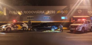 Polícia Militar Rodoviária prende prudentinos com 22 Kg de maconha