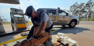 Polícia Rodoviária apreende carro com 32 tabletes de cocaína vindo para Prudente