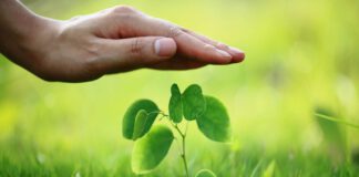 Seguro agrícola garante autonomia ao agricultor em tempos de mudanças climáticas