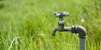 Economia de água via APP será a principal ferramenta do agronegócio contra a crise hídrica