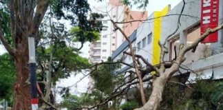 Tempestade com ventos de 80 km/h causam vários prejuízos por toda cidade