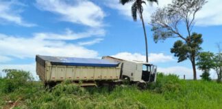 DRACENA: Motorista morre enquanto dirigia e caminhão atinge árvore