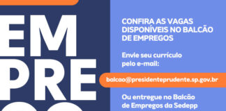 EMPREGOS: Balcão da SEDEPP tem 278 vagas disponíveis