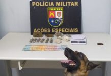 Cão farejador encontra drogas escondidas no canteiro central de avenida no Conjunto Habitacional João Domingos Netto