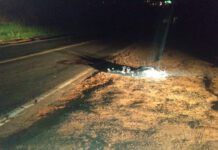 IRAPURU: Homem morre atropelado na Júlio Budisk e motorista foge