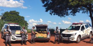 Motorista foge de barreira policial e abandona carro em canavial com de 400 Kg de maconha e Skank