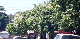 PAULICÉIA: Polícia Militar captura estuprador de 60 anos condenado a 09 anos