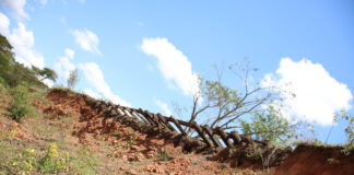 UEPP constata que nada foi feito para manter trecho ferroviário pertencente a Álvares Machado