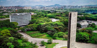 USP abre vagas em 29 cursos gratuitos a distância