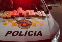 Polícia Rodoviária apreende 10,3 Kg de maconha em ônibus interestadual