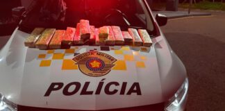 Polícia Rodoviária apreende 10,3 Kg de maconha em ônibus interestadual