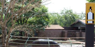 COVID-19: Por falta de funcionários visitas à Cidade da Criança estão suspensas