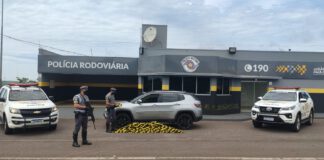 Polícia Rodoviária prende motorista que carregava 68 Kg de cocaína na Raposo Tavares