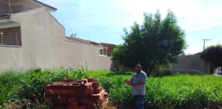 Prefeitura já notificou 1.700 dono de imóveis para realizarem a limpeza em terrenos