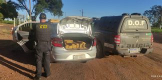 Menor de idade é apreendido dirigindo com R$ 631 mil em drogas vindo para Prudente