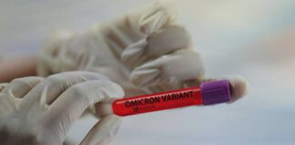 BA.2: Fiocruz identifica subvariante da Ômicron no RJ e SC