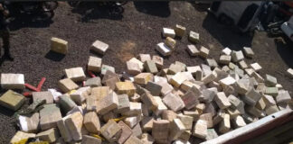 TJ-SP muda decisão e absolve motorista que transportava 500 kg de maconha