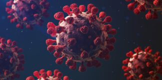 Idoso de 78 anos morre em decorrência da Covid-19