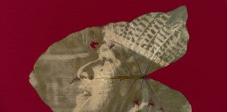 Exposição de Dani Sandrini segue em cartaz no Centro Cultural Matarazzo