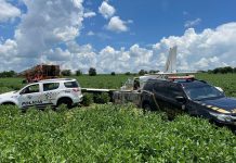 TRÁFICO: Avião com drogas faz pouso de emergência a 250 Km de Presidente Prudente