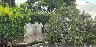 Chuva intensa e ventos fortes causam prejuízos em Dracena