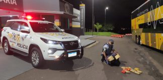 Polícia Rodoviária apreende 6,4 Kg de “Skank” em ônibus na Raposo Tavares