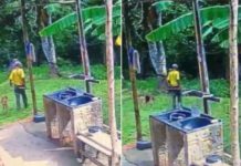 MATO GROSSO: Caseiro é devorado por onça e pedaços do corpo são achados em mata