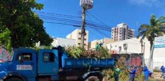 Prudenco e SEMEA realizam operação para limpeza de galhos pela cidade