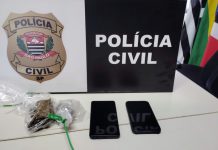 OPERAÇÃO IN NATURA: Polícia Civil desarticula tráfico em Álvares Machado e Sandovalina
