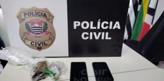 OPERAÇÃO IN NATURA: Polícia Civil desarticula tráfico em Álvares Machado e Sandovalina