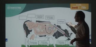 ZOOTECNIA: 1º curso à distância criado no país tem estudantes de 17 Estados