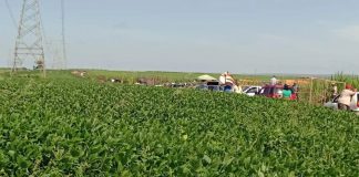 CARNAVAL VERMELHO: FNL inicia série de ocupações em fazendas na região de Presidente Prudente