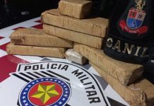 PANORAMA: Polícia apreende menor com 5,7 Kg de maconha