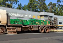Polícia Rodoviária faz apreensão de 1,7 tonelada de maconha na Raposo Tavares