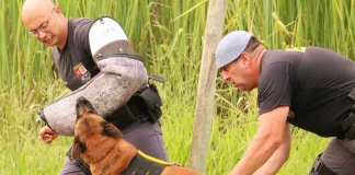 Canil do 8º Baep ajudou na apreensão de 3,7 toneladas de drogas em 2022
