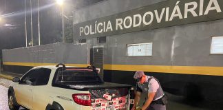Polícia Rodoviária apreende 10 mil maços de cigarro dentro de Fiat Strada