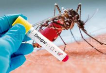 Prudente confirma mais duas mortes por dengue em 2025