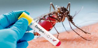 Prudente não registra casos de dengue nos primeiros 15 dias do ano