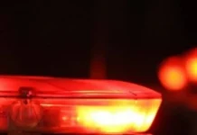 Caminhão atropela quatro cavalos de competição em frente ao Rancho Quarto de Milha