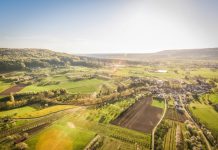 Inteligência Artificial oferece mais eficiência e agilidade ao agronegócio