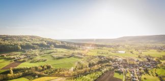 Inteligência Artificial oferece mais eficiência e agilidade ao agronegócio