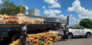 Polícia Rodoviária apreende carga com 1 tonelada de maconha em Presidente Venceslau
