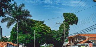 Fotógrafo comenta foto inusitada tirada no Jardim Paulista