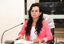 Vereadora requisita informações sobre ações contra a dengue