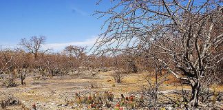 Mestranda e doutorando da Unesp de Prudente abordam mudanças climáticas em artigo
